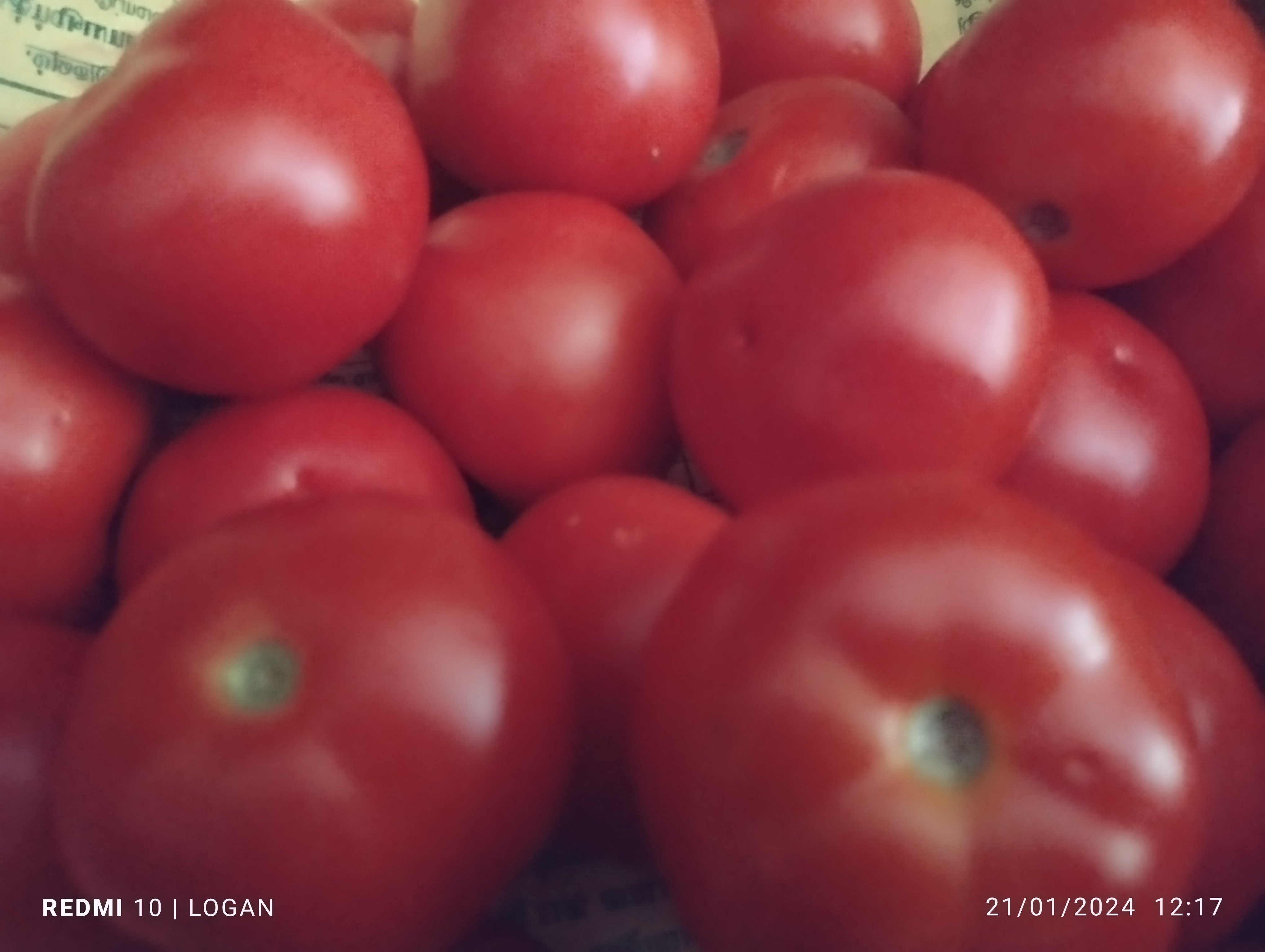 tomato